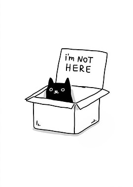 Black Cat in Box - I'm Not Here