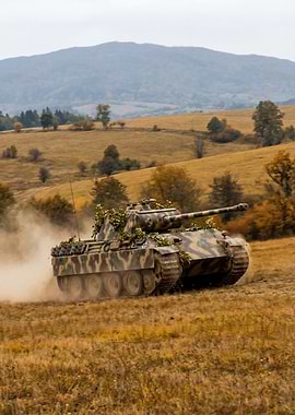 Camouflaged Tank in Field