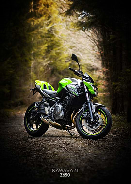 Kawasaki Z650 in forest Poster