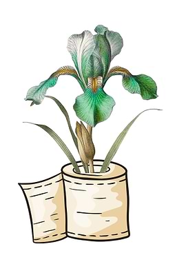 Iris in Toilet Paper Roll