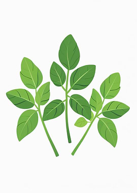 Green Leaves Illustration on White Background