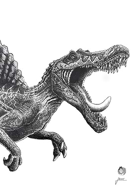Spinosaurus Dinosaur Black and White Illustration