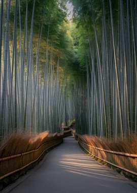 Bamboo Forest Path