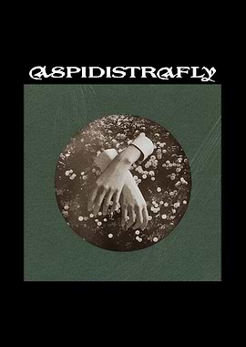 Band album cover art