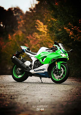 Kawasaki ZX-6R Motorcycle on Road Poster