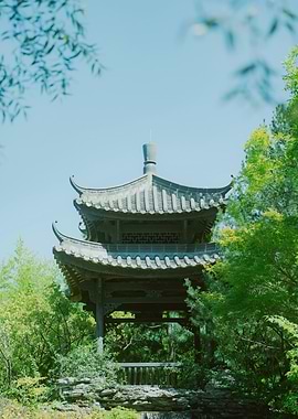 Japan - Asian Pagoda in Lush Greenery