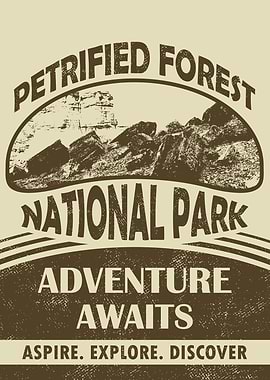 Petrified Forest National Park: Adventure Awaits