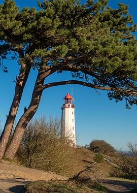 Lighthouse and Tree on a Hill