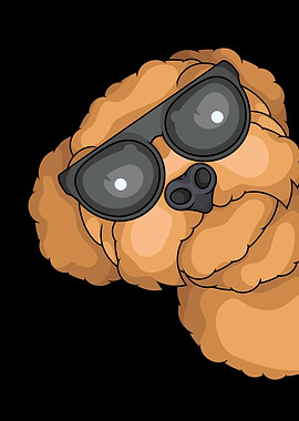 Cool Poodle Dog with Sunglasses