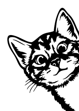 Black and White Cat Illustration