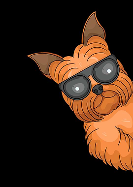 Yorkshire Terrier Dog with Sunglasses
