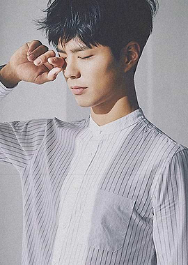 park bo-gum