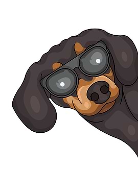 Cool Dachshund with Sunglasses