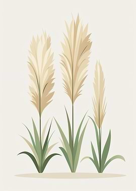 Pampas Grass Illustration