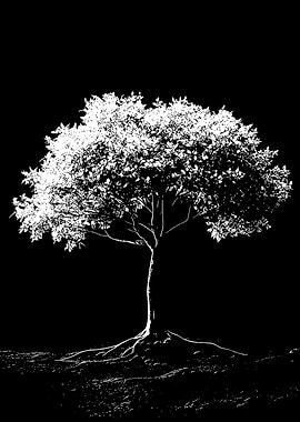 Monochrome Tree Silhouette