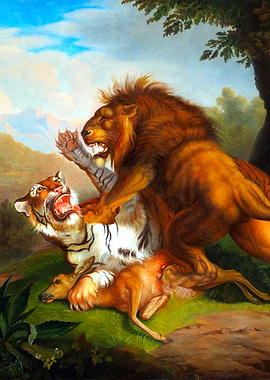 Tiger and Lion Fight Painting