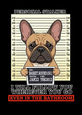 Personal Stalker Basset Hound Mugshot