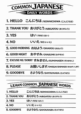 Common Japanese Daily Words Guide