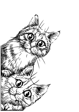 Two Cats Peeking Black and White