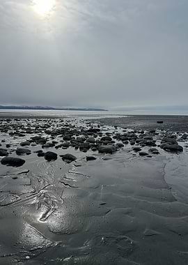 Gloomy Beach with Rocks and Mud
