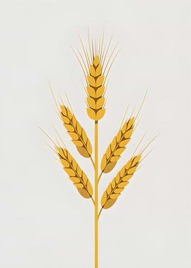 Wheat Stalk Illustration