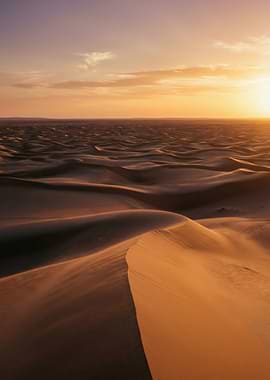 Desert Dunes at Sunset
