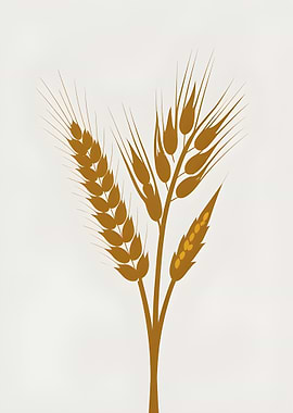 Wheat Stalks Illustration