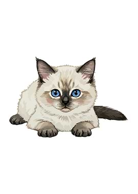 Cute Siamese Kitten Illustration