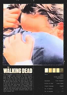 The Walking Dead TV Series Poster