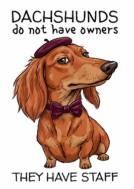 Dachshund with Beret and Bowtie