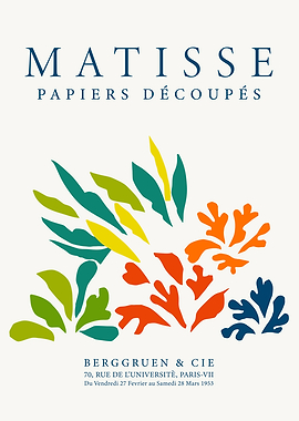 MATISSE | Papier découpés basique