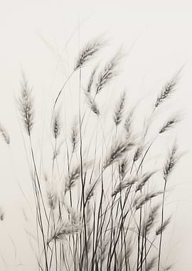 Monochrome Pampas Grass