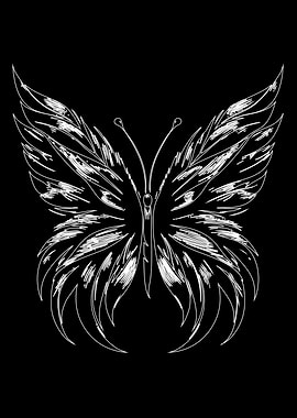 White Butterfly Sketch on Black Background