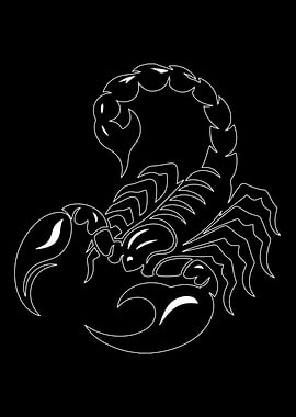 White Scorpion Outline on Black Background