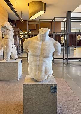 Museum exhibit with torso sculptures