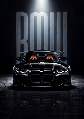 Sleek Black Car Portrait