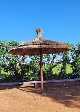 Thatch Umbrella in Outdoor Setting