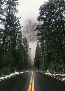 Road to Yosemite National Park