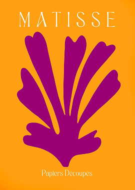 MATISSE | Purple Tryp L