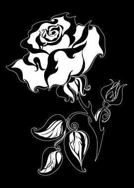 Black and White Rose Illustration