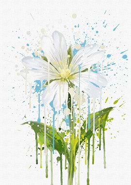 White Flower with Paint Splatters