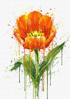 Watercolor Orange Tulip Flower Art