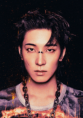 Wonwoo SEVENTEEN “HAPPY BURSTDAY”