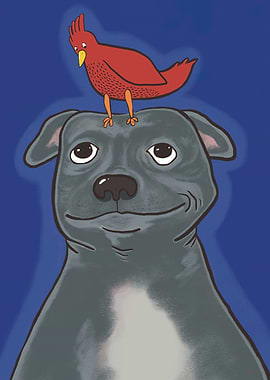 Dog & Bird