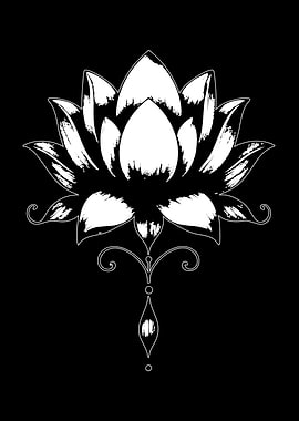 White Lotus Flower on Black Background