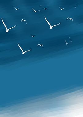 Birds Flying in Blue Sky