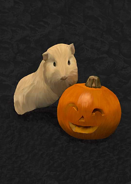Guinea Pig and pumpkin