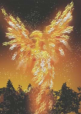 Mercury Carbon Orange Phoenix