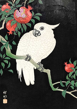 Cockatoo and Pomegranates Japanese Woodblock Print