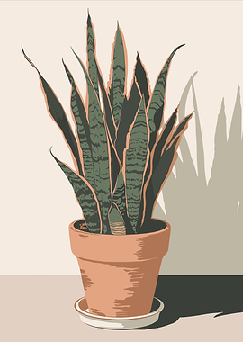 Snake Plant in Pot Illustration